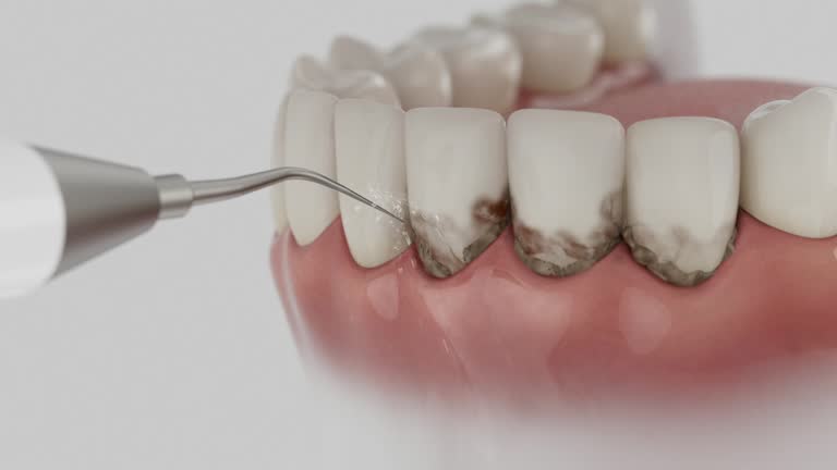 Reliable Dental contractor in Creve Coeur, IL by Dentist Open Now